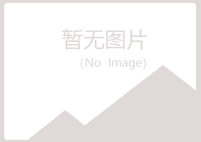 宁夏从梦化学有限公司